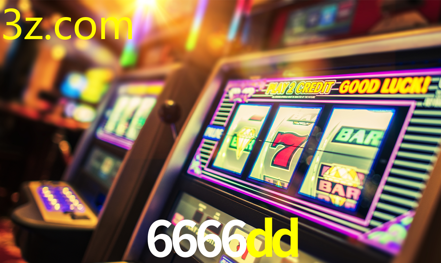 6666DD.COM