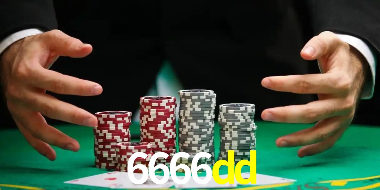 6666dd bet